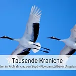 Landloft Linum - Ausgebaute Scheune Mit Aussicht, Naturpool, Kamin, Sauna, Luxusausbau, Handverlesene Midcentury Möbel&kunst Apartment Fehrbellin