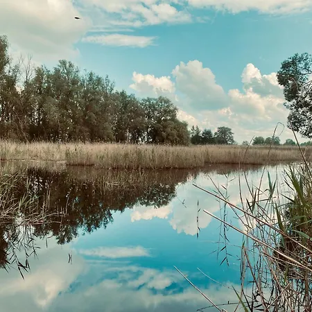 Landloft Linum - Ausgebaute Scheune Mit Blick Ins Vogelschutzgebiet, Kamin, Luxusausbau, Handverlesene Midcentury Moebel & Kunst * Fehrbellin