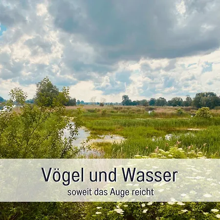 Landloft Linum - Ausgebaute Scheune Mit Blick Ins Vogelschutzgebiet, Kamin, Luxusausbau, Handverlesene Midcentury Moebel & Kunst Fehrbellin