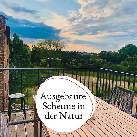 Landloft Linum - Ausgebaute Scheune Mit Blick Ins Vogelschutzgebiet, Kamin, Luxusausbau, Handverlesene Midcentury Moebel & Kunst Apartment Fehrbellin
