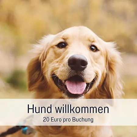 Landloft Linum - Ausgebaute Scheune Mit Aussicht, Naturpool, Kamin, Sauna, Luxusausbau, Handverlesene Midcentury Moebel & Kunst *