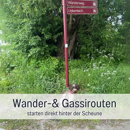 Appartamento Landloft Linum - Ausgebaute Scheune Mit Aussicht, Naturpool, Kamin, Sauna, Luxusausbau, Handverlesene Midcentury Moebel & Kunst *