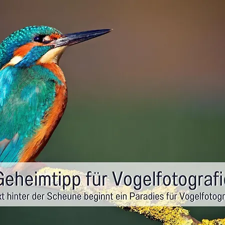 Landloft Linum - Ausgebaute Scheune Mit Aussicht, Naturpool, Kamin, Sauna, Luxusausbau, Handverlesene Midcentury Moebel & Kunst Appartamento