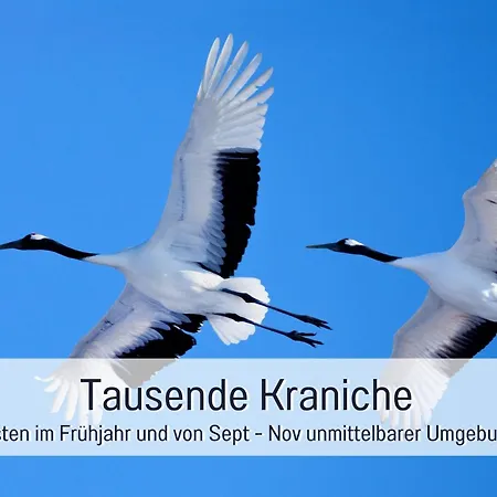 Landloft Linum - Ausgebaute Scheune Mit Aussicht, Naturpool, Kamin, Sauna, Luxusausbau, Handverlesene Midcentury Moebel & Kunst Apartament Fehrbellin