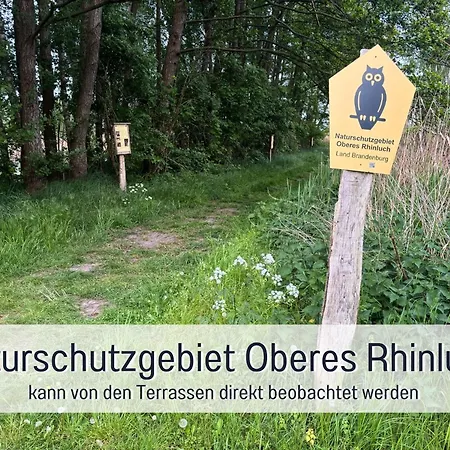 Landloft Linum - Ausgebaute Scheune Mit Aussicht, Naturpool, Kamin, Sauna, Luxusausbau, Handverlesene Midcentury Moebel & Kunst Fehrbellin