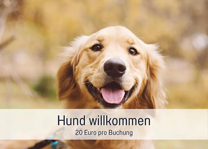 Landloft Linum - Ausgebaute Scheune Mit Aussicht, Naturpool, Kamin, Sauna, Luxusausbau, Handverlesene Midcentury Moebel & Kunst *