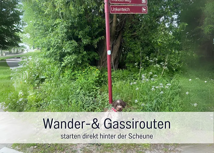 Apartmán Landloft Linum - Ausgebaute Scheune Mit Aussicht, Naturpool, Kamin, Sauna, Luxusausbau, Handverlesene Midcentury Moebel & Kunst *