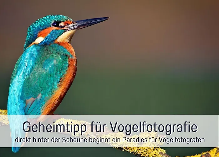 Landloft Linum - Ausgebaute Scheune Mit Aussicht, Naturpool, Kamin, Sauna, Luxusausbau, Handverlesene Midcentury Moebel & Kunst Apartmán