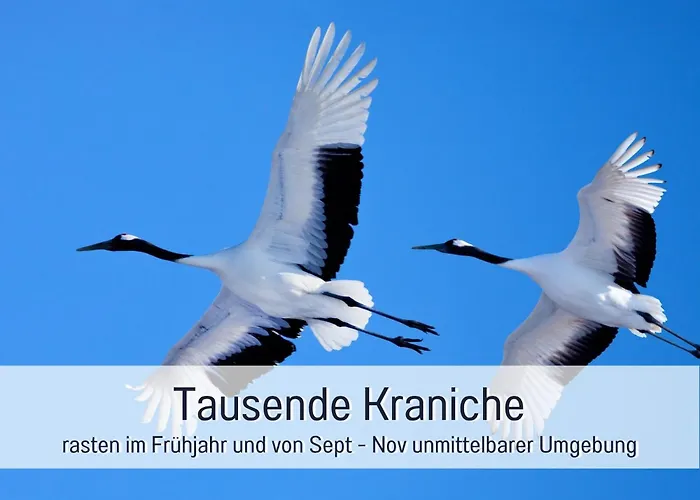 Landloft Linum - Ausgebaute Scheune Mit Aussicht, Naturpool, Kamin, Sauna, Luxusausbau, Handverlesene Midcentury Moebel & Kunst Apartmán Fehrbellin