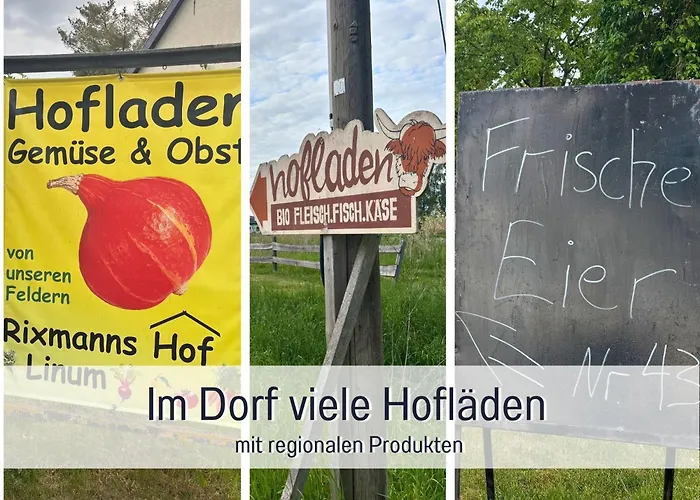 Apartmán Landloft Linum - Ausgebaute Scheune Mit Aussicht, Naturpool, Kamin, Sauna, Luxusausbau, Handverlesene Midcentury Moebel & Kunst