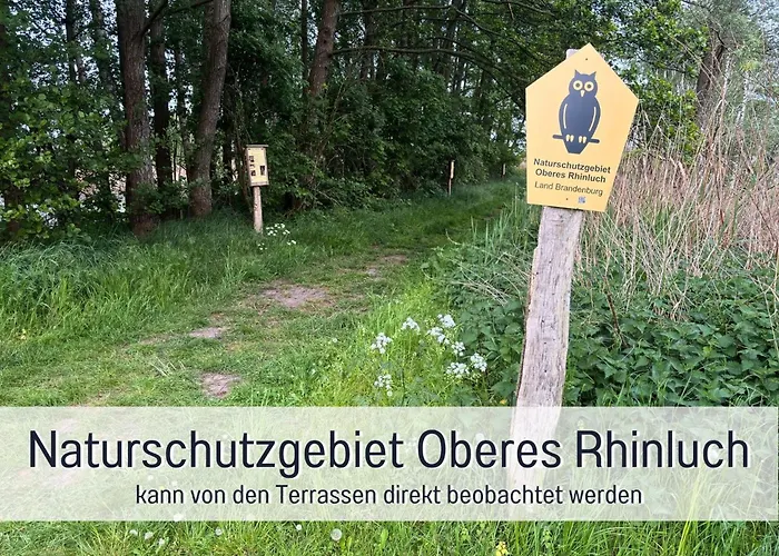 Landloft Linum - Ausgebaute Scheune Mit Aussicht, Naturpool, Kamin, Sauna, Luxusausbau, Handverlesene Midcentury Moebel & Kunst Fehrbellin